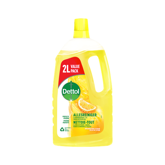 Dettol Allesreiniger Sparkelende Citroen 2L